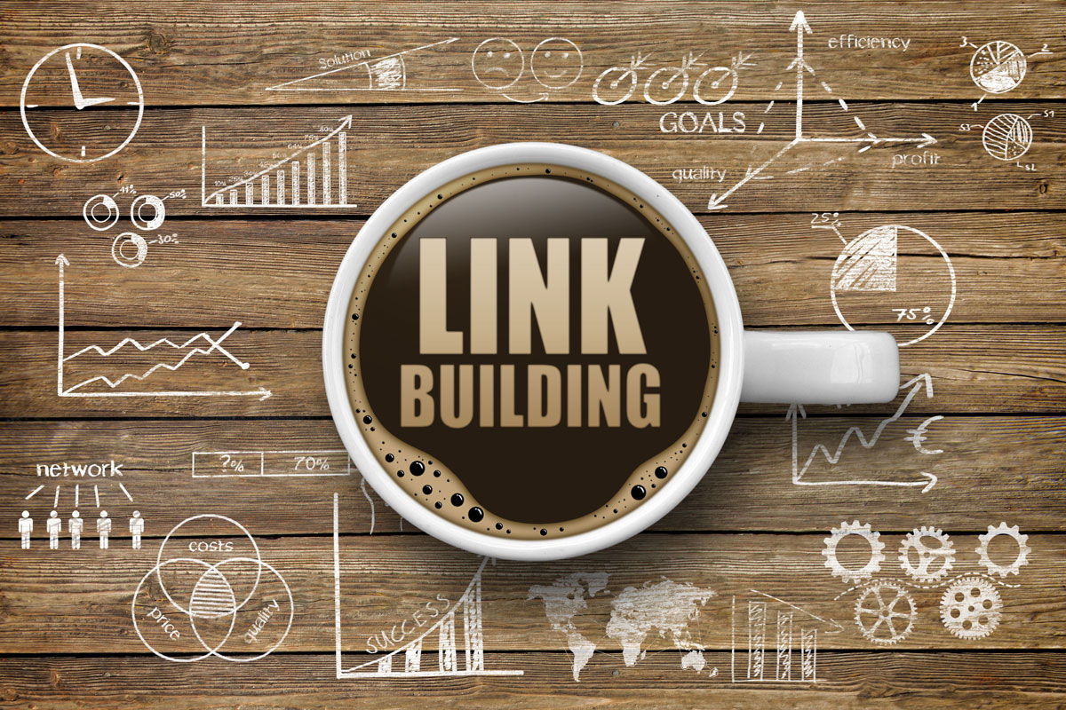 Link Building Services in Rajkot, Gujarat, India