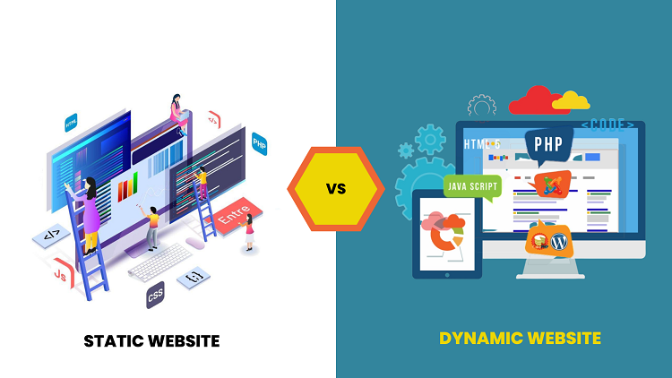  Dynamic Website Development
